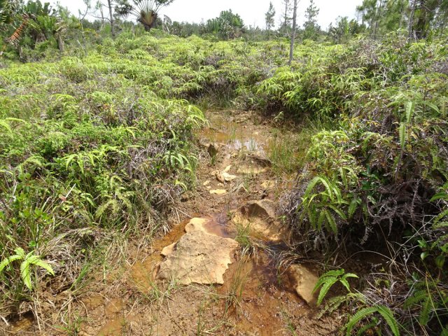 La boue fait très vite son apparition