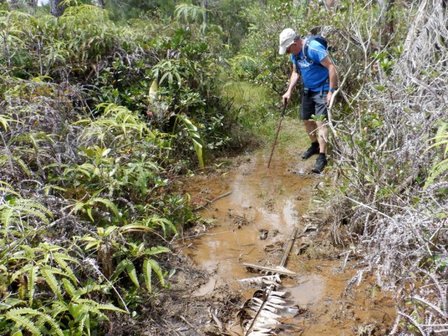 Il est presque impossible d'éviter cette gadoue collante
