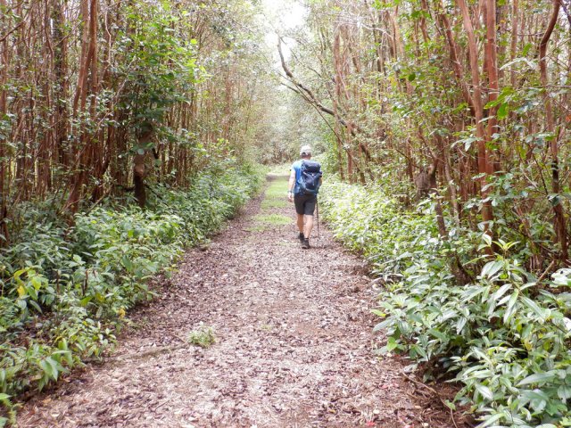 La marche familiale par excellence