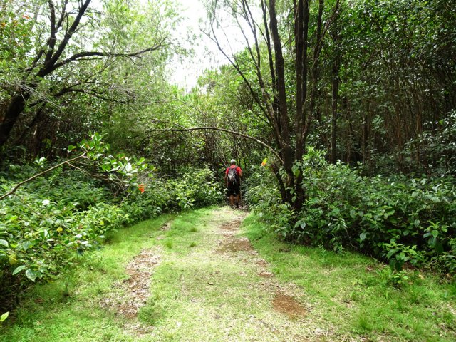 La piste prend fin, remplacée par un sentier