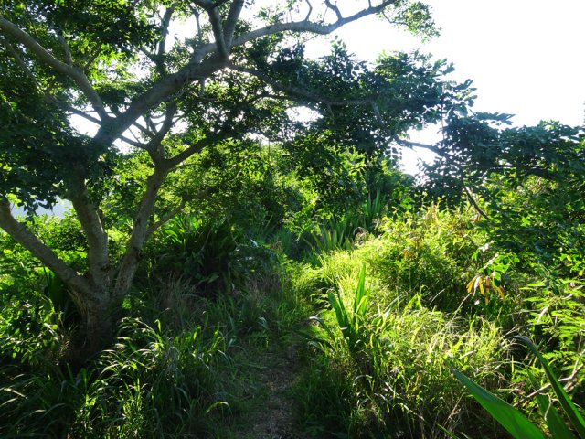 Très peu d'arbres, donc pas d'ombre. Bien se protéger