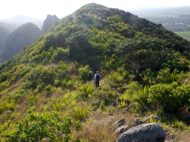 Encore une colline à franchir
