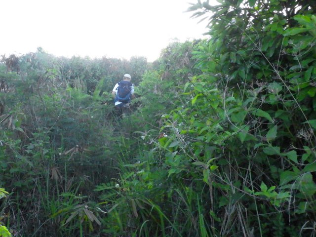 Il faut parfois jouer un peu des coudes mais sans griffures