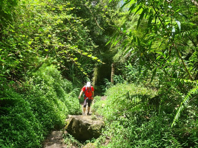 Le début de la montée est faible dans une agréable verdure