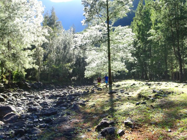 Balade facultative sur l'aire de repos de la Ravine des Sept Bras