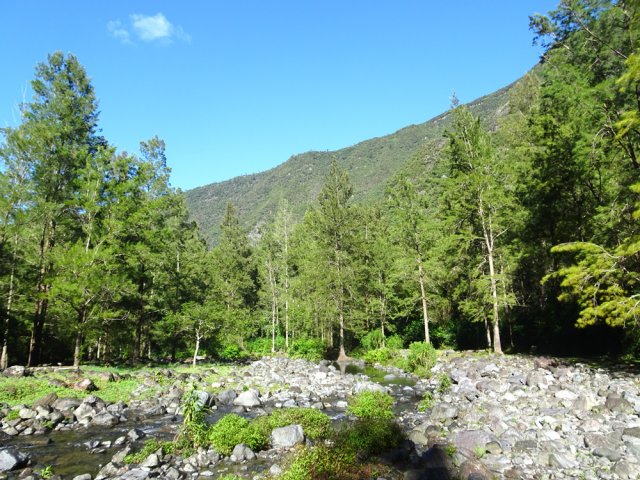 Quitter les lieux par la rive droite de la Grande Ravine