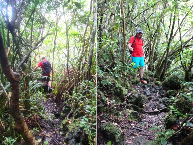 Le sentier vers la Grande Ravine est très empierré