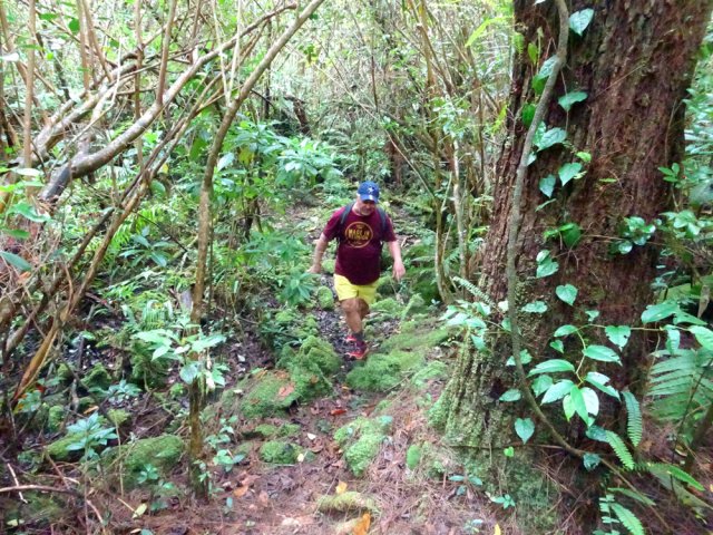 Repartir par un nouveau sentier en direction des ruines
