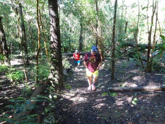 Entamer la remontée en longeant des murets