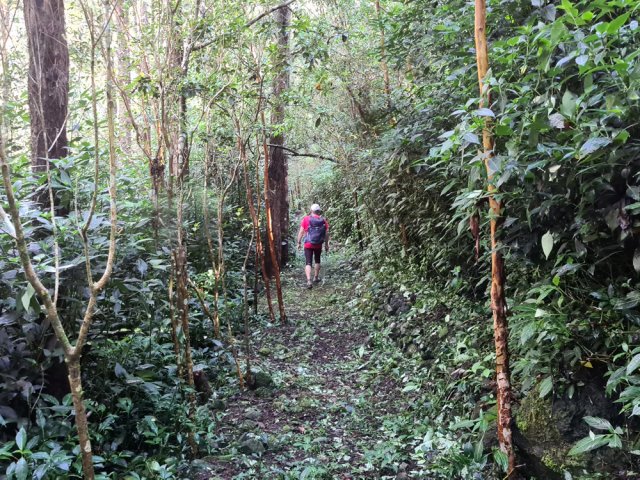 Le sentier a été entretenu au départ