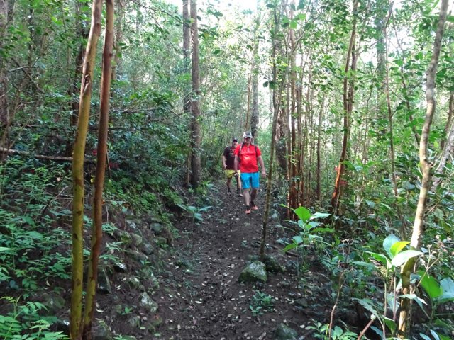 Plus loin, il reste toujours très facile à suivre