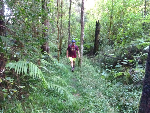 Seules les jouvences tendent d'empiéter sur le sentier