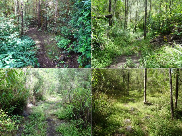 Quelques portions pour donner une idée de la qualité du passage