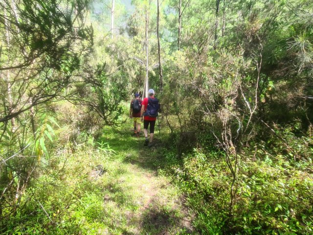 La pente est très faible tout au long du trajet