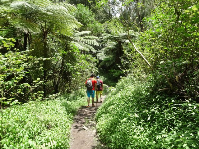 Zone comportant beaucoup de fanjans