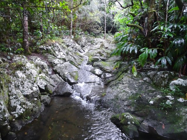 Petit écart pour se rapprocher du Bras des Chevrettes