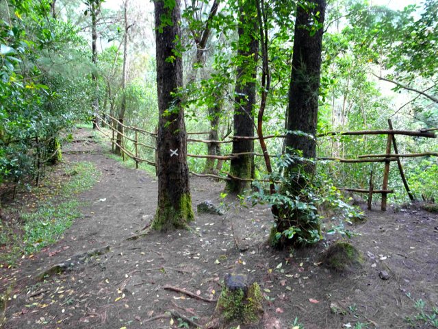 Plus loin, on rencontre le belvédère de la cascade la Fouillée