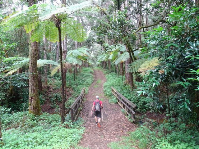 Les ravines sont toujours aisées à franchir, même à sec