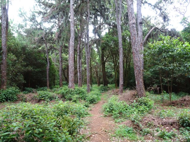 Obliquer à gauche puis marcher en direction du lac