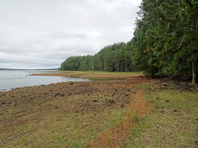 Arrivée à la Mare aux Vacoas dont on peut longer les berges