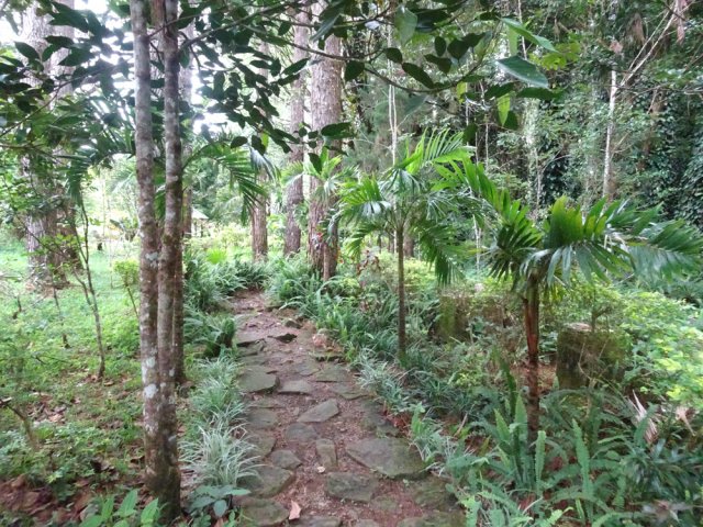 Jardins propres et entretenus