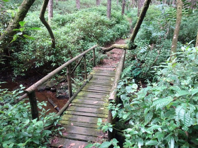 Les multiples petites ravines se franchissent sur des passerelles