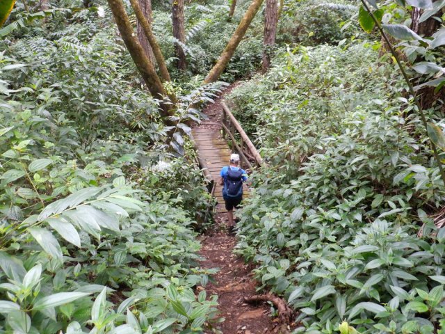 On cesse vite de les compter