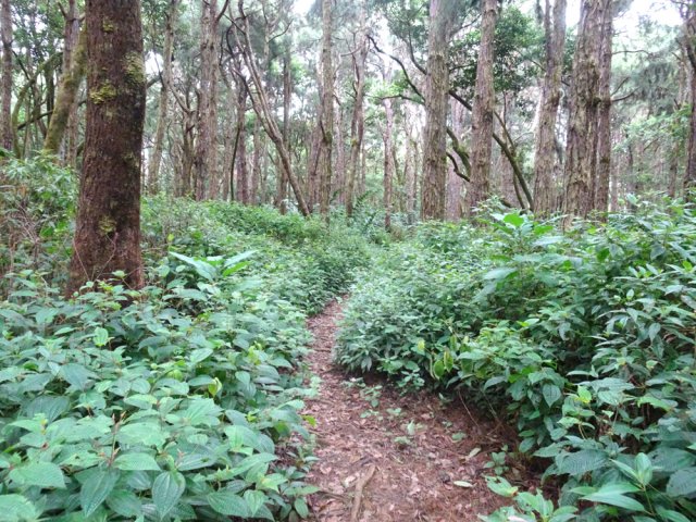Le chemin du retour, parallèle à la route
