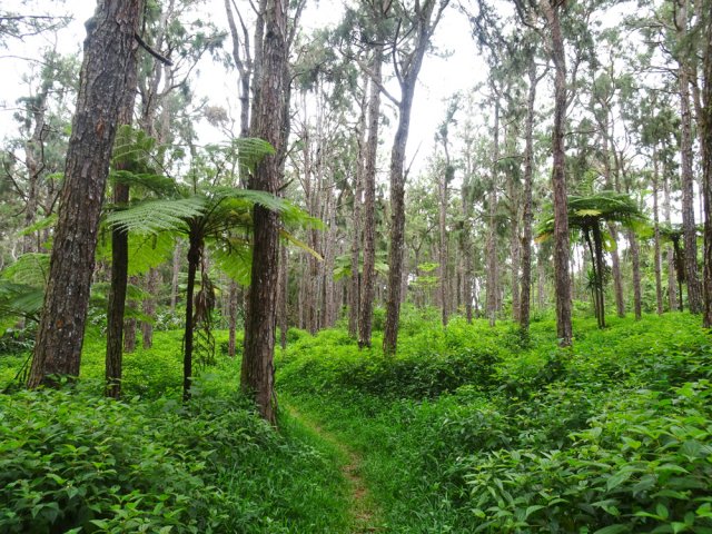 Les derniers mètres de la boucle