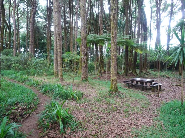 Les aires de pique-nique sont régulièrement espacées le long du parcours