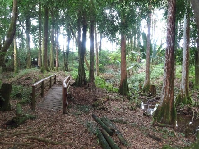 Des passerelles, un peu partout, franchissent les petites ravines