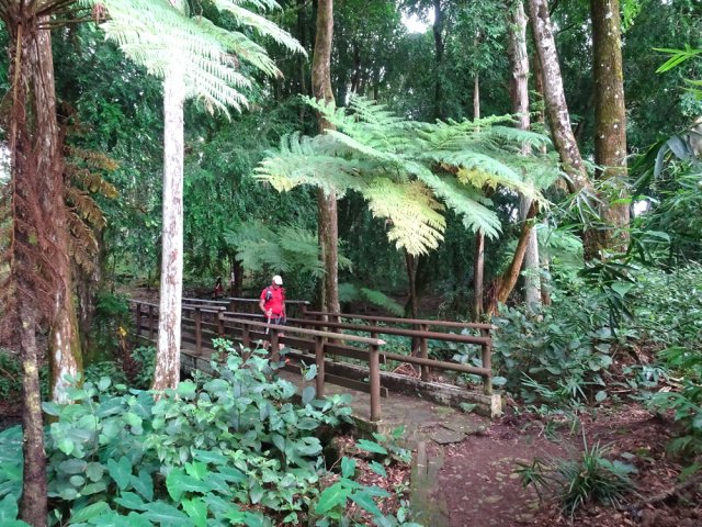 Un pont traverse la rivière et permet d'aller vers d'autres emplacements de pique-nique