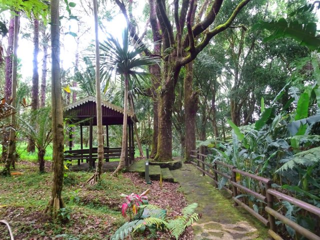 Kiosque à l'ombre de grands arbres
