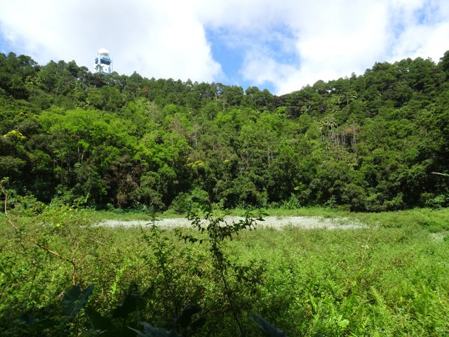 Lorsque la mare est vide, on peut s'approcher du cœur du cratère