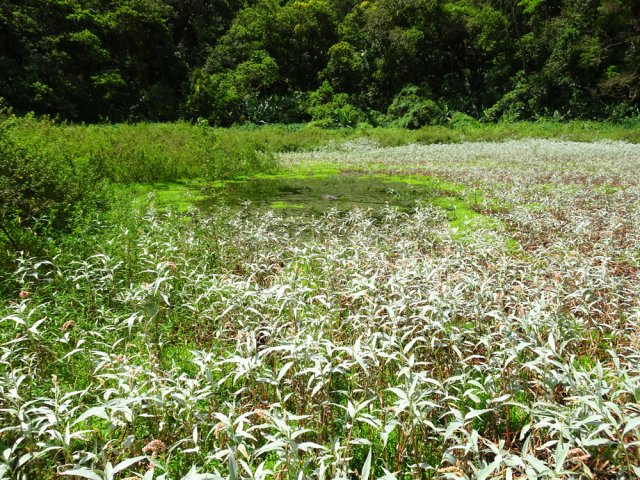 Le point le plus bas à toujours un peu d'eau