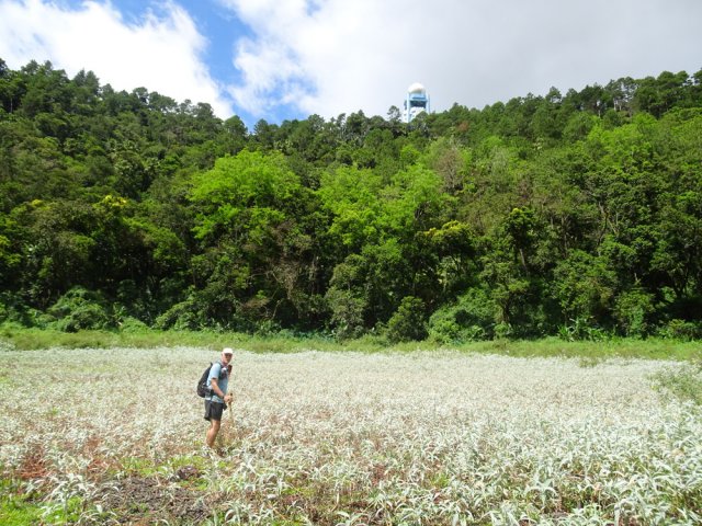S'il n'a pas trop plu, il est possible de marcher sans s'embourber