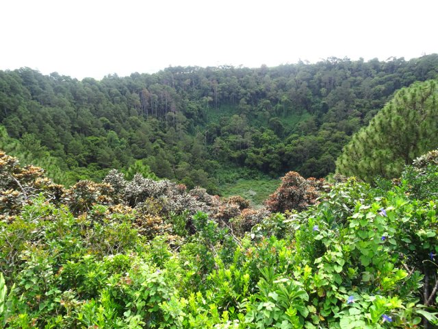 Le fond du cratère depuis le point de vue du départ