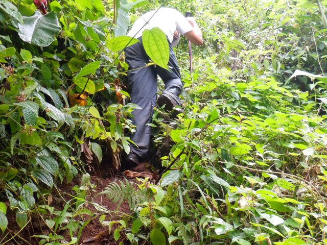La forte montée est plus facile que la descente malgré son étroitesse