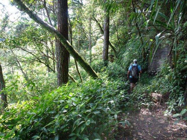 La végétation est très variée tout au long du parcours