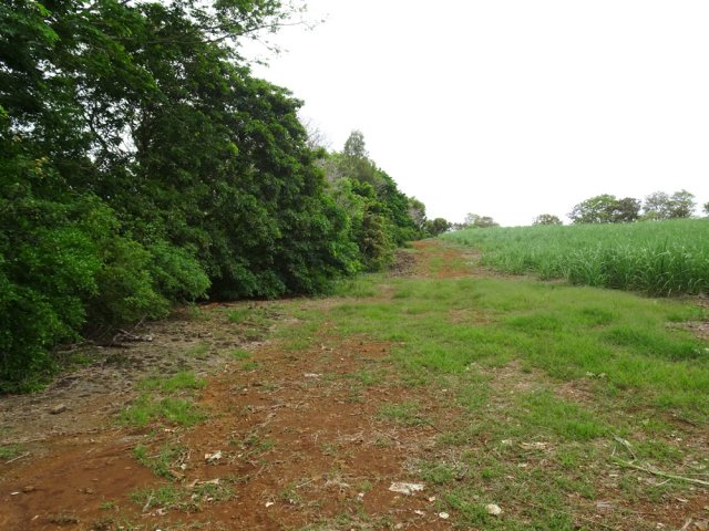 Rejoindre le haut de la rive gauche de Grand River South East