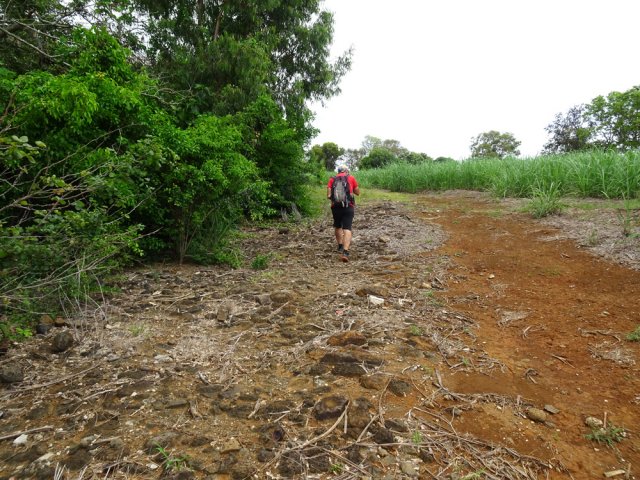 L'ancien chemin pavé a souffert du passage des engins agricoles