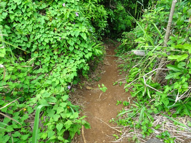 Bifurquer à gauche pour atteindre la rivière