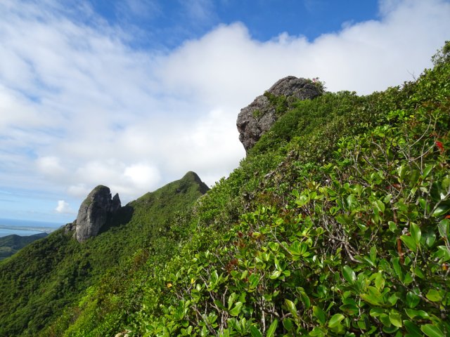 On s'approche de plus en plus du Chat repérable à son chiffon rouge