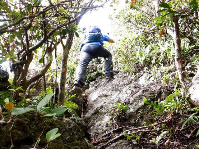 Nouveaux passages rocheux demandant un peu d'attention