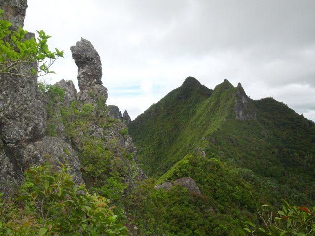 La souris, jusque là invisible, s'observe depuis un petit sentier