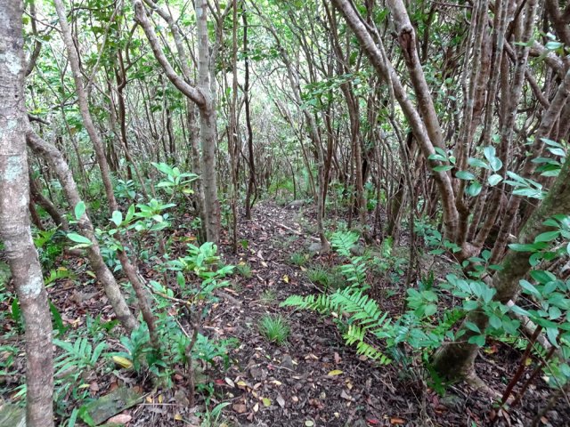 La descente, rectiligne, annonce très vite la couleur !