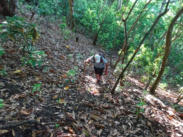 Sentier en très forte pente, difficile à suivre