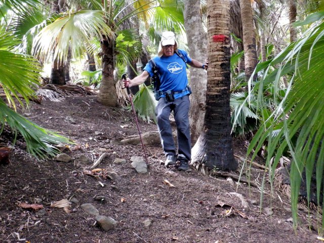 Pas de sentier proprement dit, mais des taches de peinture pour guider