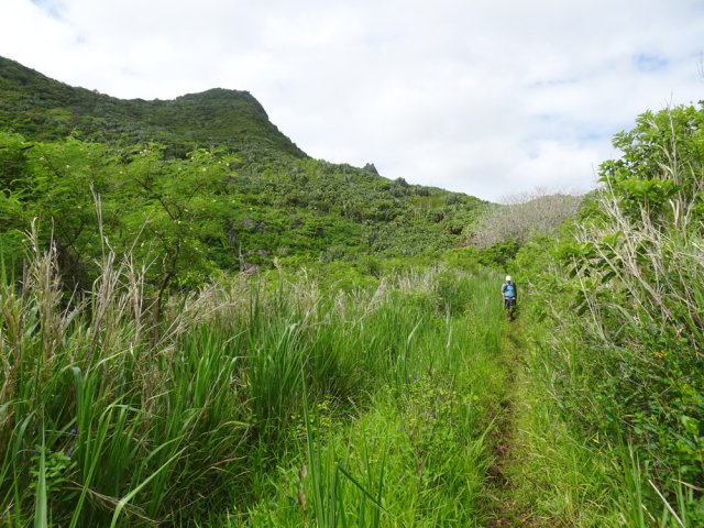 Peu de passage mais une trace bien visible