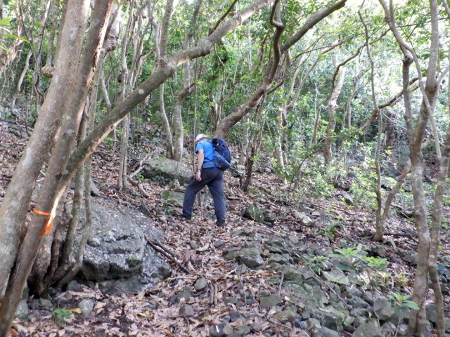 Les rubalises et traces de peinture facilitent la recherche du discret sentier